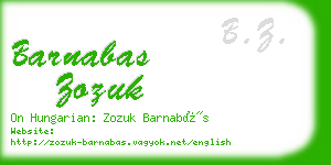 barnabas zozuk business card
